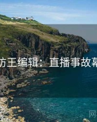 麻豆专访王编辑：直播事故幕后故事