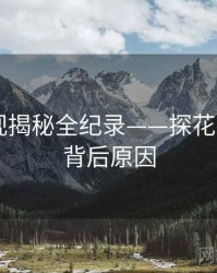全景影视揭秘全纪录——探花视频app背后原因