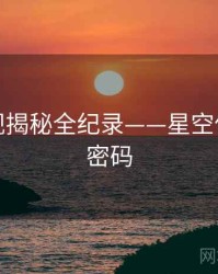独家影视揭秘全纪录——星空传媒流量密码