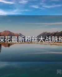 国产探花最新粉丝大战脉络揭秘