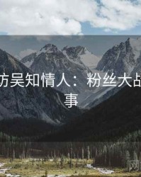 麻豆专访吴知情人：粉丝大战幕后故事