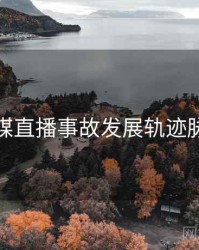 星空传媒直播事故发展轨迹脉络揭秘