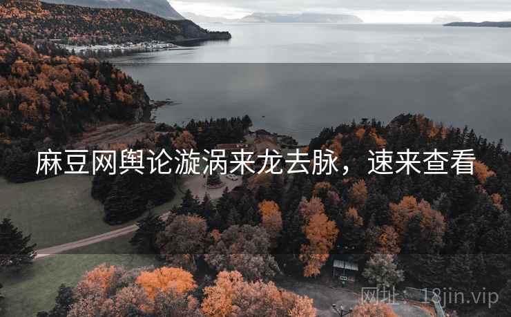 麻豆网舆论漩涡来龙去脉，速来查看