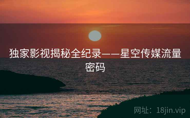 独家影视揭秘全纪录——星空传媒流量密码