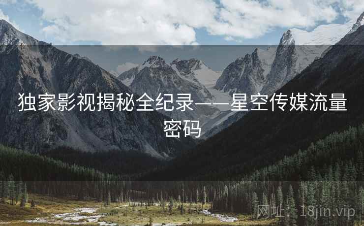 独家影视揭秘全纪录——星空传媒流量密码