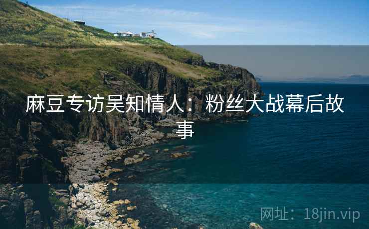 麻豆专访吴知情人：粉丝大战幕后故事