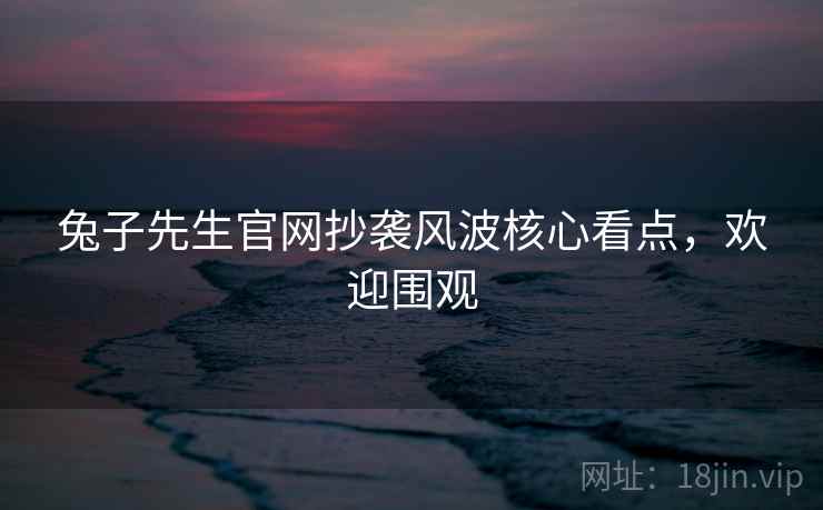 兔子先生官网抄袭风波核心看点，欢迎围观