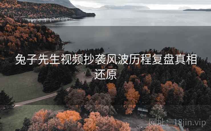 兔子先生视频抄袭风波历程复盘真相还原