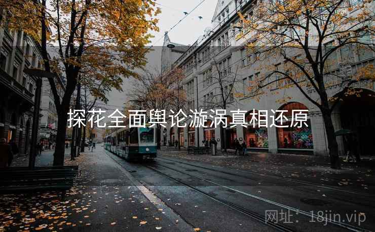 探花全面舆论漩涡真相还原
