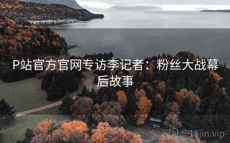 P站官方官网专访李记者：粉丝大战幕后故事