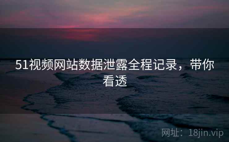 51视频网站数据泄露全程记录，带你看透