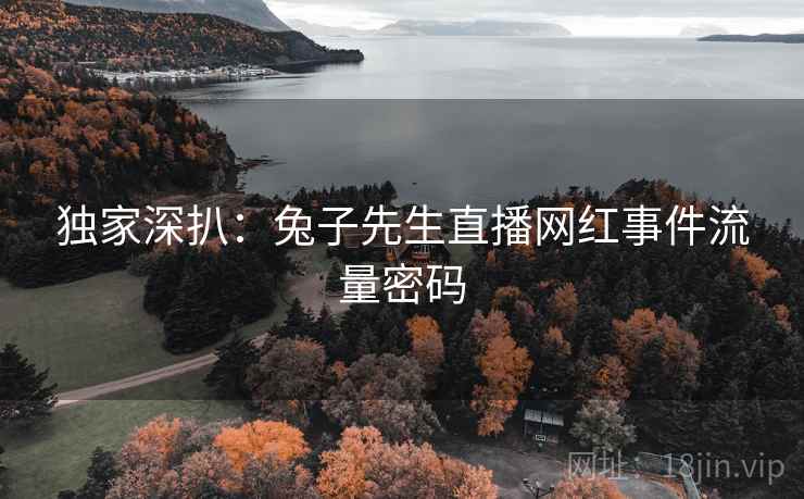 独家深扒：兔子先生直播网红事件流量密码