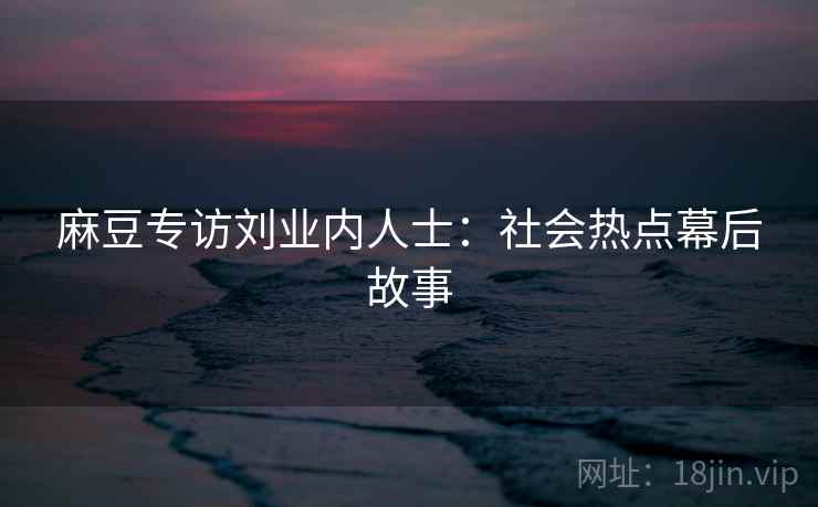 麻豆专访刘业内人士：社会热点幕后故事