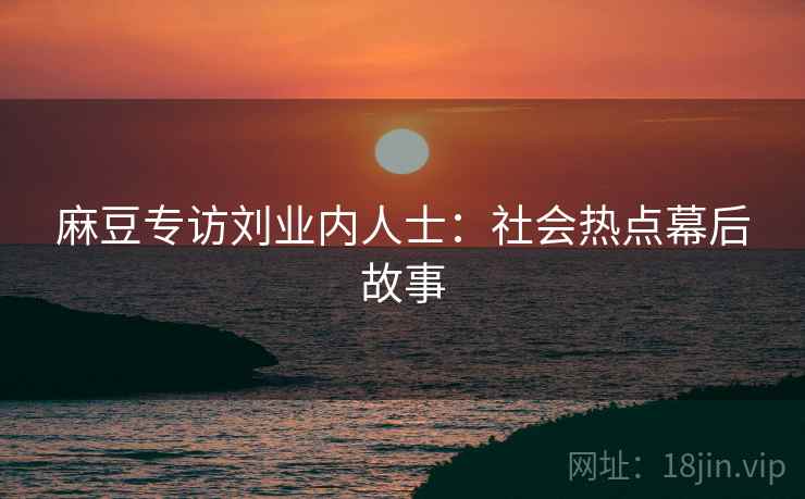 麻豆专访刘业内人士：社会热点幕后故事