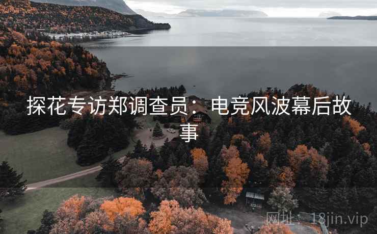 探花专访郑调查员：电竞风波幕后故事