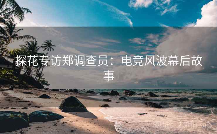 探花专访郑调查员：电竞风波幕后故事