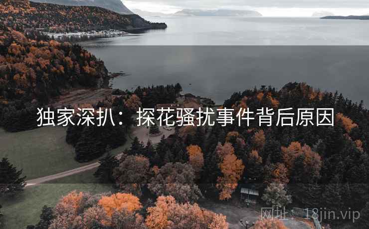 独家深扒：探花骚扰事件背后原因