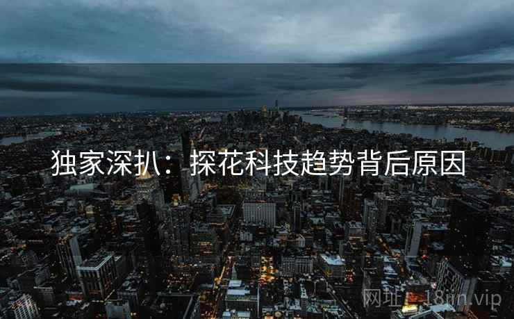 独家深扒：探花科技趋势背后原因